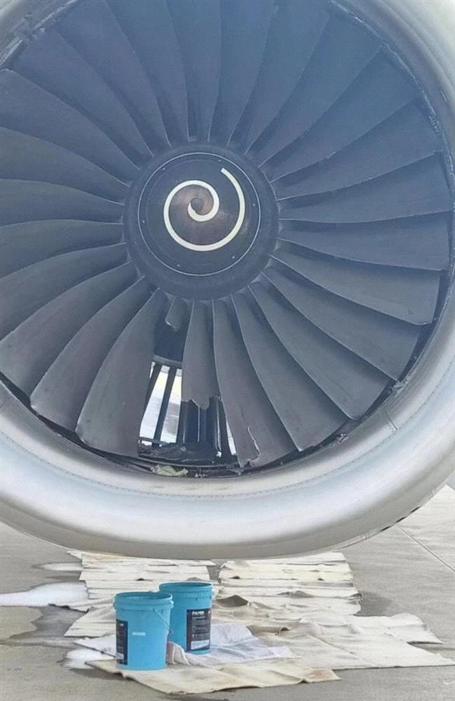 Hành khách hoảng loạn khi động cơ vỡ tung, máy bay rung bần bật giữa trời-2