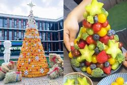 Dân mạng đua nhau làm cây thông Noel từ trái cây, muôn kiểu đẹp lạ