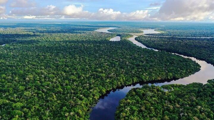 Sông Amazon lớn, dài nhất thế giới nhưng lại không có cây cầu nào bắc qua-3
