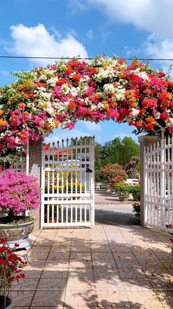 Cổng nhà rực rỡ sắc màu khiến người đi qua mê mẩn, học chủ nhà bí kíp cho hoa nở đúng Tết-1