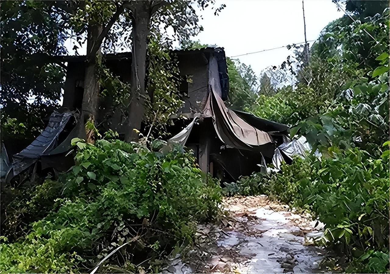 Bi kịch của người đàn ông ép vợ sinh 11 con trong 16 năm-5