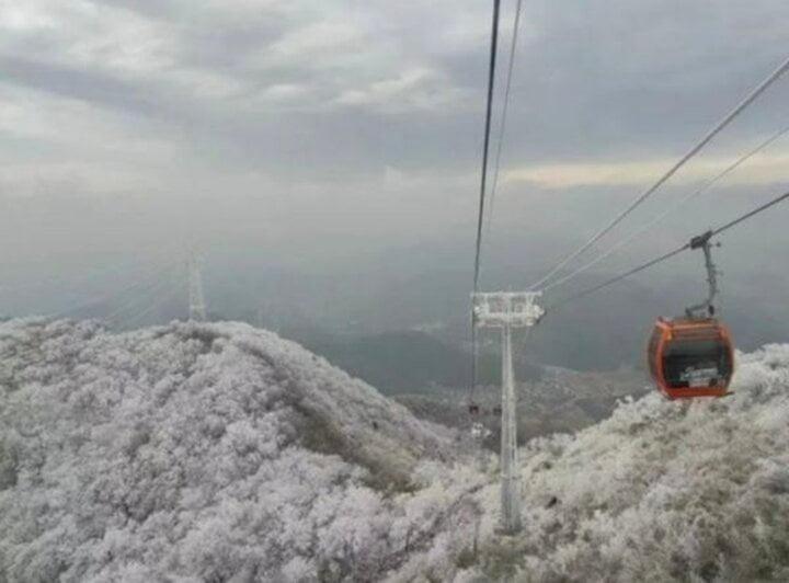 Bị nhốt trên cáp treo trong chuyến đi săn tuyết, du khách sợ đến già-1