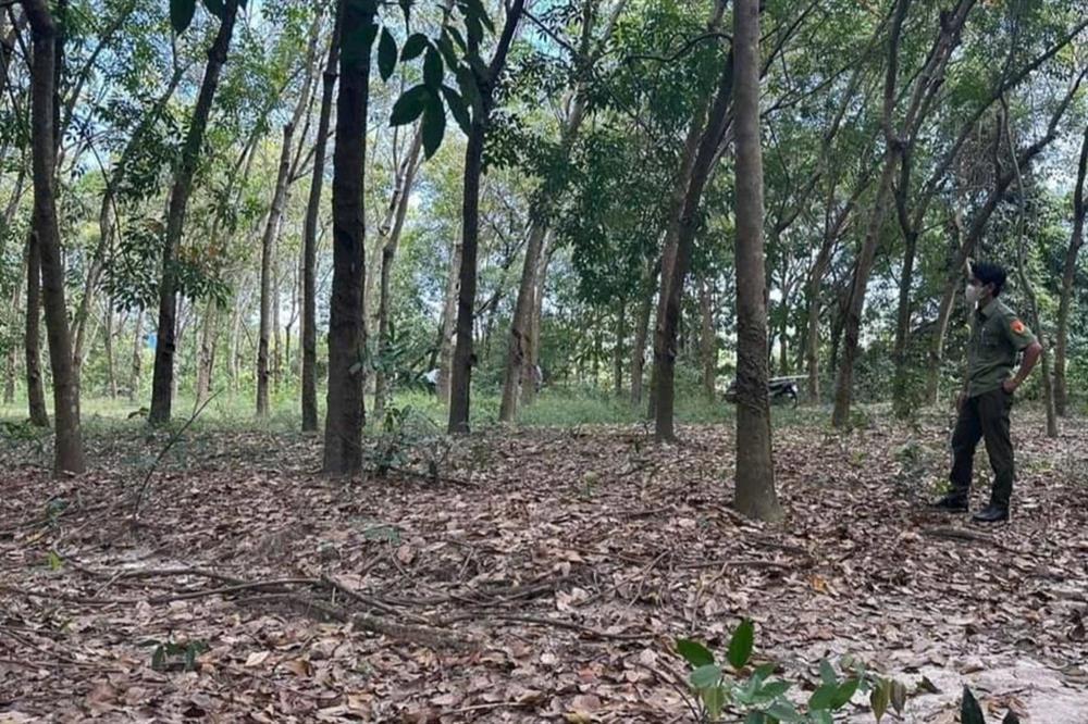 Thi thể người đàn ông đang phân hủy trong tư thế treo cổ-1