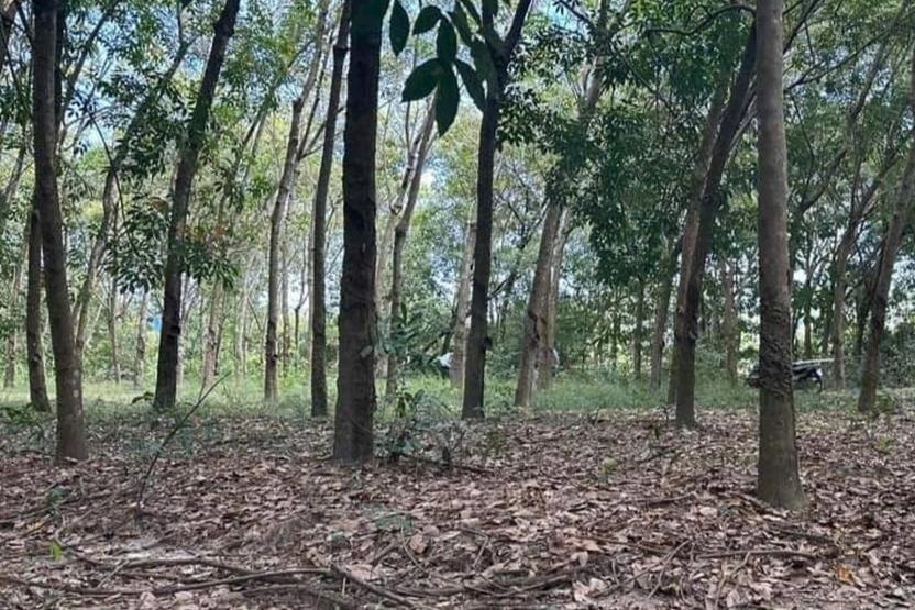 Bệnh viện trả thi thể em bé, gia đình phẫn nộ khi thấy hình nộm trong quan tài-3