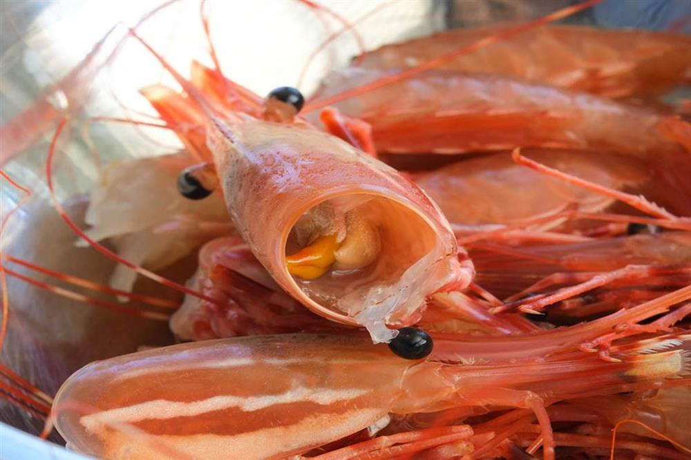 Lý do không nên xay đầu tôm nấu canh-1