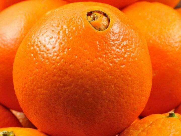 Khi mua cam, nên chọn quả cam đực hay quả cam cái?-2