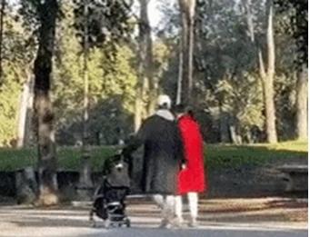 Khoảnh khắc ngọt ngào của Song Joong Ki bên vợ và con trai-1