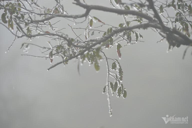 Mẫu Sơn xuống -2,2 độ sáng nay, miền Bắc rét đậm đến khi nào?-2