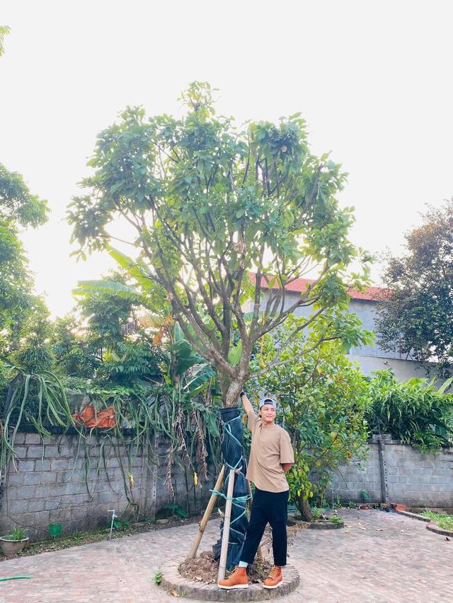 Nghỉ việc ở Nhà hát đi bán xe, Hồng Đăng vẫn hạnh phúc tự tay decor góc sống ảo trong nhà đón Noel-13