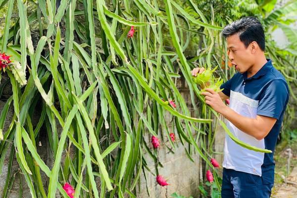 Nghỉ việc ở Nhà hát đi bán xe, Hồng Đăng vẫn hạnh phúc tự tay decor góc sống ảo trong nhà đón Noel-17