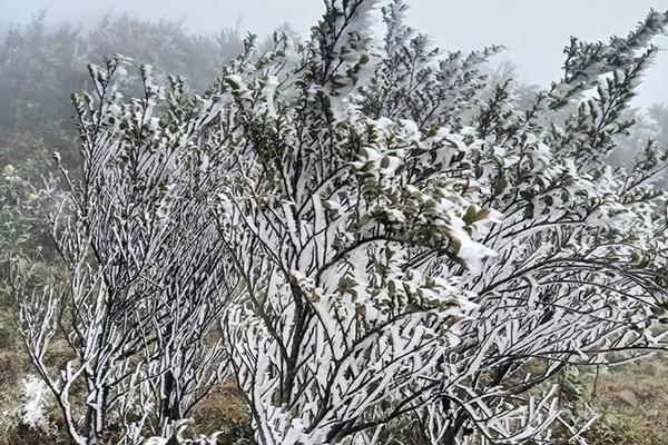 Dự báo thời tiết ngày 24/12: Miền Bắc rét đậm rét hại, có nơi dưới 2 độ C-2