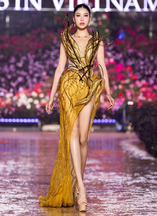 Vì sao Đỗ Thị Lan Anh vào được Top 4 và trở thành Hoa hậu Nước?-5