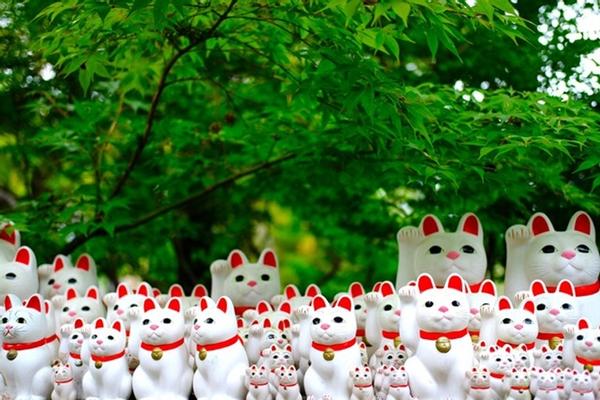 Ẩn ý của người Nhật trong chú mèo thần tài-1