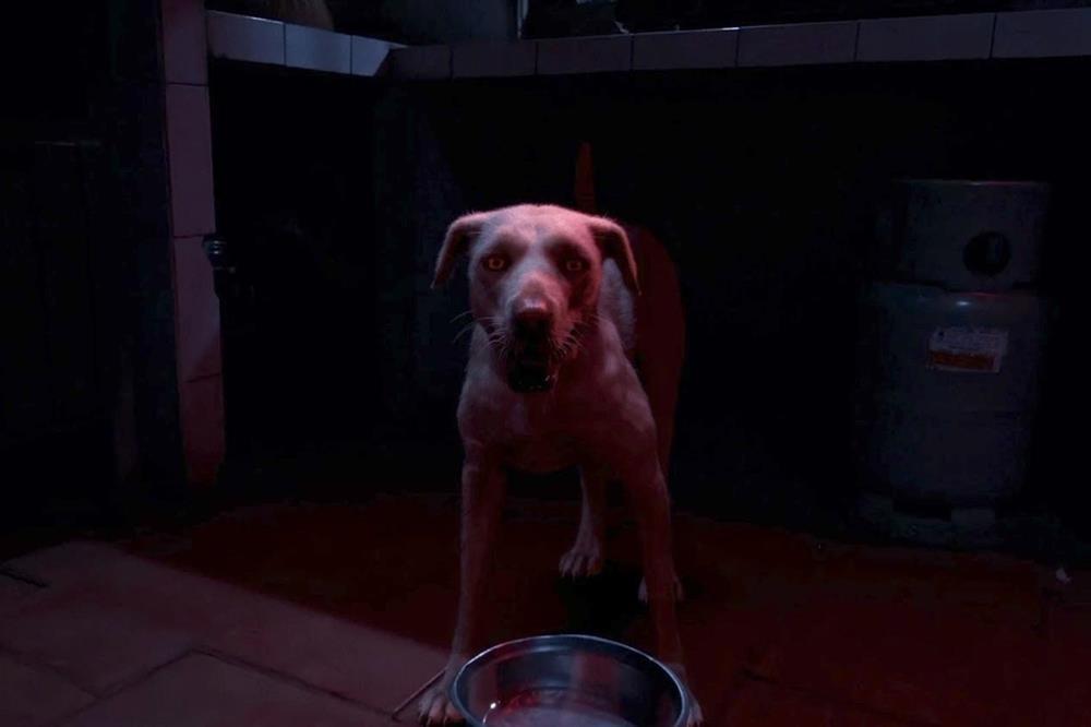 Phim kinh dị có nghệ sĩ Vân Dung: Nội dung cũ, hình ảnh tệ-3