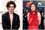 Timothée Chalamet đẹp trai nhất thế giới: Vẻ đẹp chàng thơ lên ngôi-14