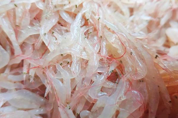 Loại hải sản rẻ tiền nhưng cực giàu canxi, mùa đông nên ăn thường xuyên để phòng bệnh xương khớp-1