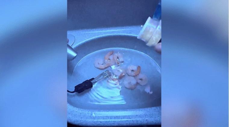 Nam hành khách gây sốc khi nấu ăn ngay trong nhà vệ sinh máy bay-3