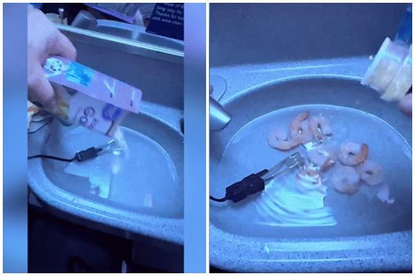 Hành khách bỏ quên ví chứa ngoại tệ trị giá gần 60 triệu đồng trên tàu hỏa-2