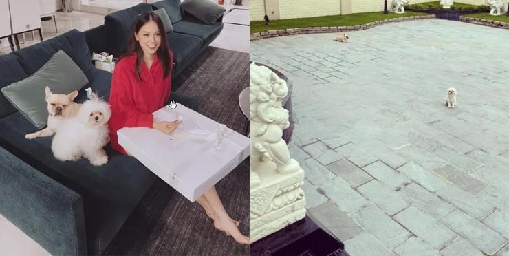 Chốn đi về của mỹ nhân Việt lấy chồng 2023: Biệt thự mới toanh của Phương Oanh gây chú ý-13