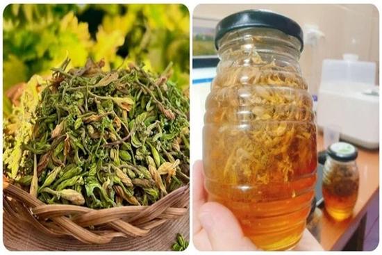 Tác dụng của hoa đu đủ đực ngâm mật ong với sức khỏe
