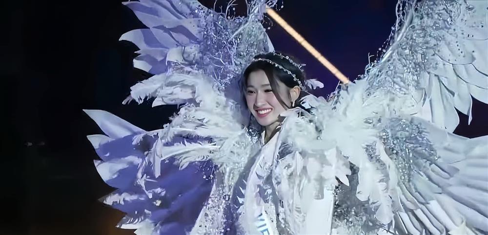 Thành tích ấn tượng của người đẹp Việt thi quốc tế năm 2023-17