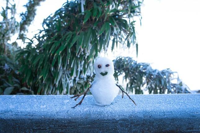 Cảnh sắc tuyệt đẹp khi ánh nắng xuyên băng trên đỉnh Fansipan -1 độ C-5