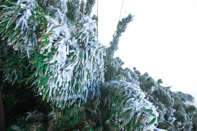 Cảnh sắc tuyệt đẹp khi ánh nắng xuyên băng trên đỉnh Fansipan -1 độ C-6