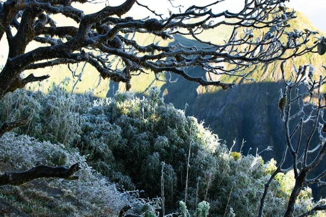 Cảnh sắc tuyệt đẹp khi ánh nắng xuyên băng trên đỉnh Fansipan -1 độ C-7