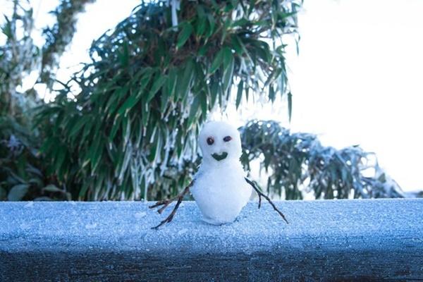 Đỉnh Fansipan xuất hiện băng tuyết-3