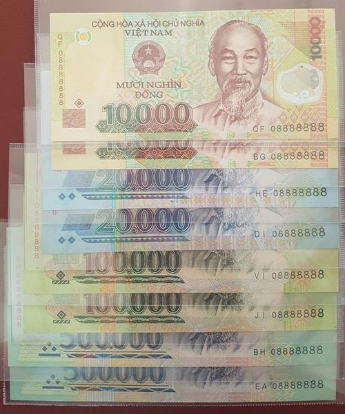 9X Thanh Hóa sở hữu kho tiền quý hiếm, đầu tư 18 chiếc tủ để bảo quản-8