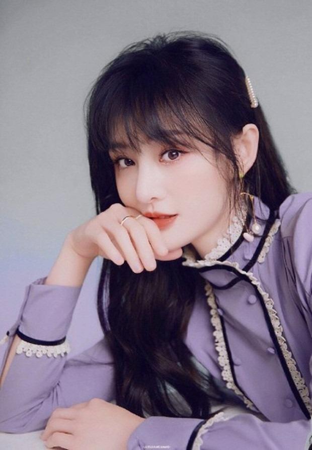 Lùm xùm nợ nần của Trịnh Sảng gây chú ý dư luận Trung Quốc-3