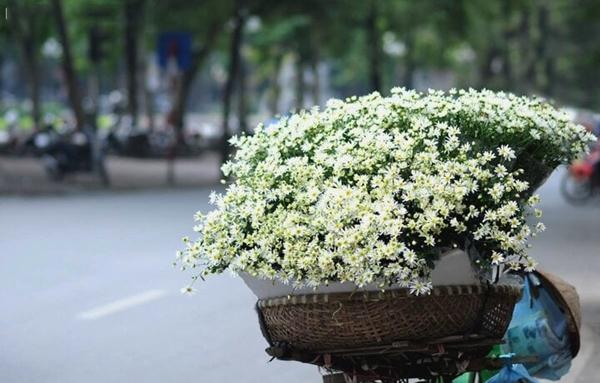 Hà Nội vào đông có gì thú vị?-3