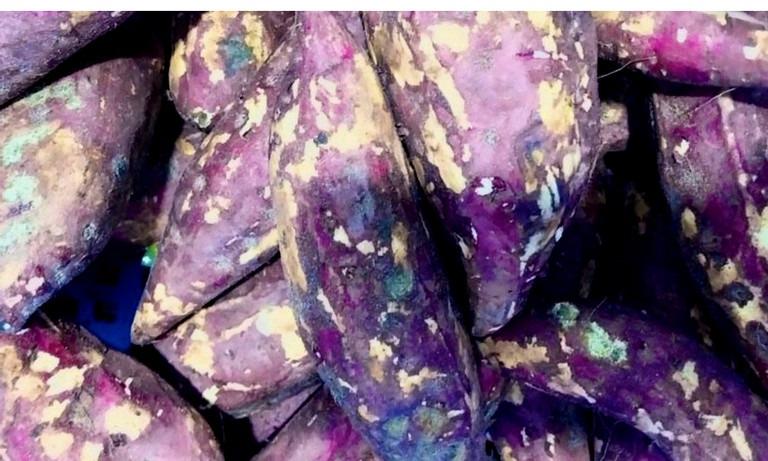 Vụ hàng loạt học sinh nhập viện sau ăn: Phát hiện thêm khoai lang mốc-3