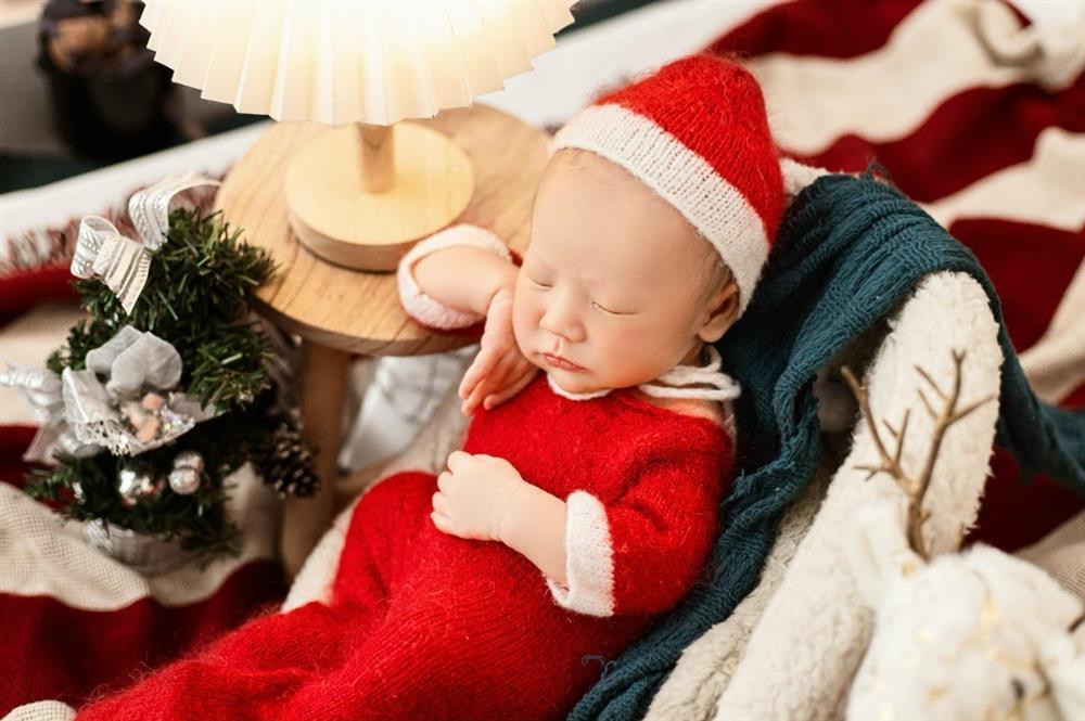 Điểm danh các nhà sao Việt đón mèo vàng chào đời trong năm 2023-2