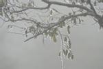 Dự báo thời tiết 31/12/2023: Miền Bắc mưa phùn và sương mù, trưa nắng gián đoạn-2