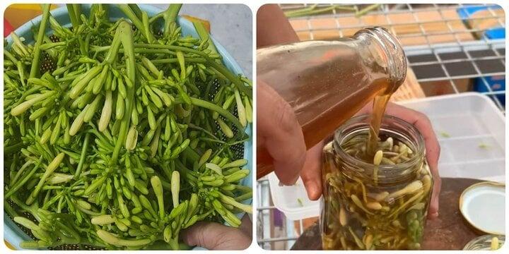 Hoa đu đủ đực ngâm mật ong trị bệnh gì?-1
