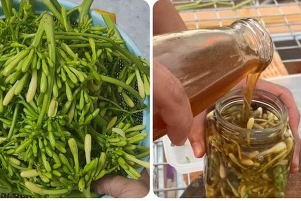 Điều gì xảy ra khi bạn ăn dưa muối mỗi ngày?-2