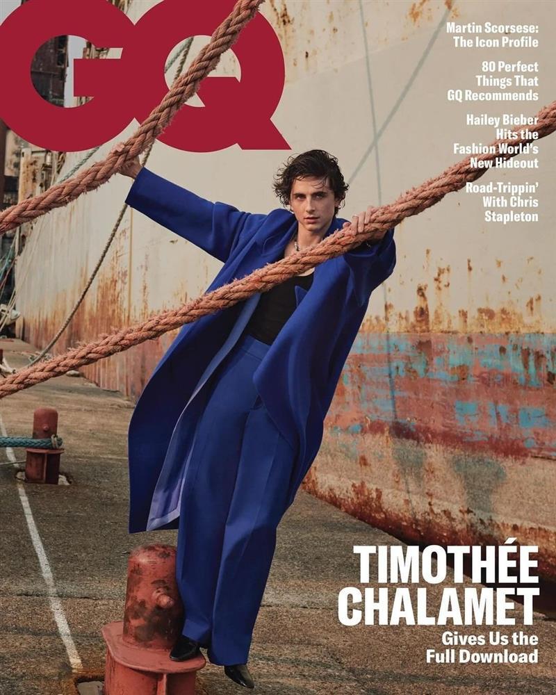 Timothée Chalamet đẹp trai nhất thế giới: Vẻ đẹp chàng thơ lên ngôi-6