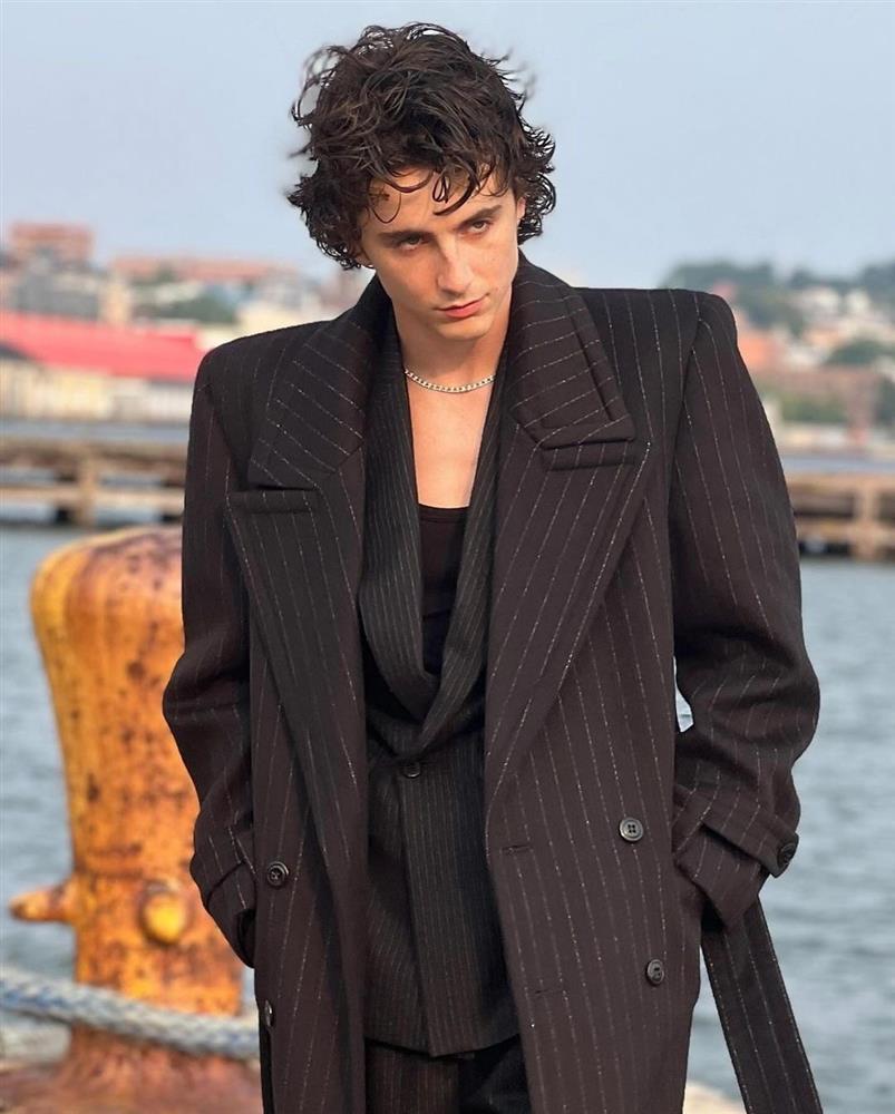 Timothée Chalamet đẹp trai nhất thế giới: Vẻ đẹp chàng thơ lên ngôi-12