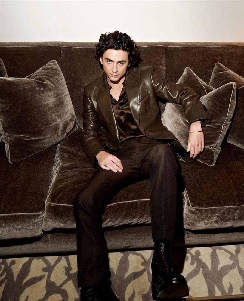 Timothée Chalamet đẹp trai nhất thế giới: Vẻ đẹp chàng thơ lên ngôi-13