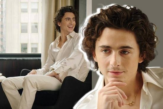 Timothée Chalamet đẹp trai nhất thế giới: Vẻ đẹp 