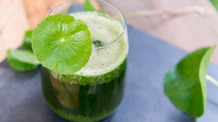 Những người không nên uống nước rau má-1