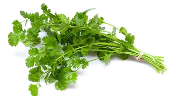 Cách bảo quản rau mùi tươi lâu-1