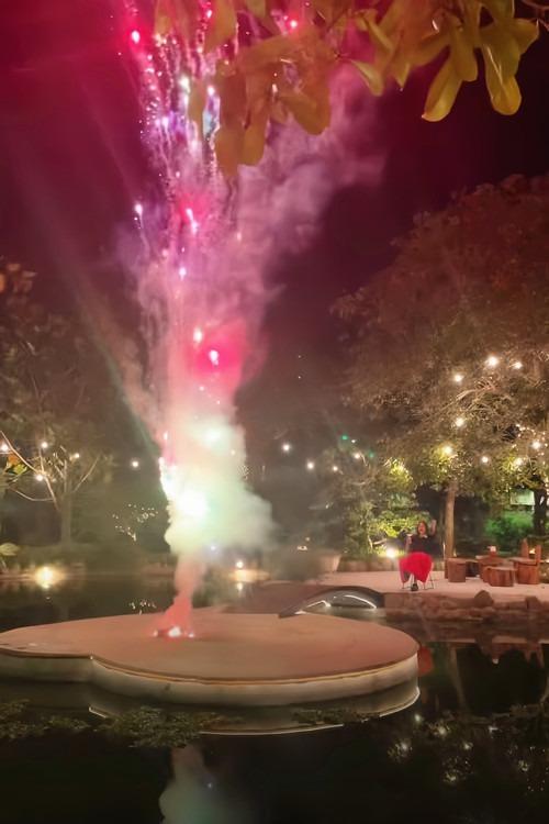 Ca sĩ Mỹ Tâm để lộ biệt phủ rộng lớn trong video mừng năm mới-2