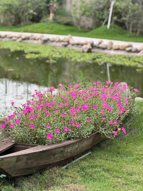 Ca sĩ Mỹ Tâm để lộ biệt phủ rộng lớn trong video mừng năm mới-7