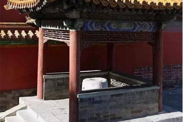 Người phụ nữ ngã gục trên sóng truyền hình trực tiếp khi trúng giải Powerball hơn 24 tỷ trong đêm giao thừa-3