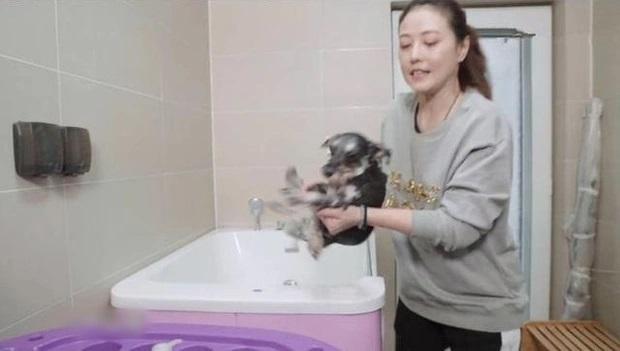 Biệt thự Châu Hải My sống cuối đời được rao bán, dư luận lập tức dậy sóng, lý do thật sự khiến ai cũng xót xa-7