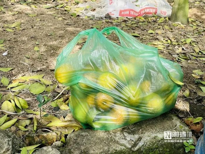 Đặc sản tiến vua rụng hàng loạt, nông dân thất thu khi Tết cận kề-4