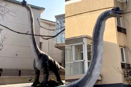 Hàng xóm dựng tượng khủng long cao 15 mét ngoài vườn, một người sợ đến không ngủ nổi