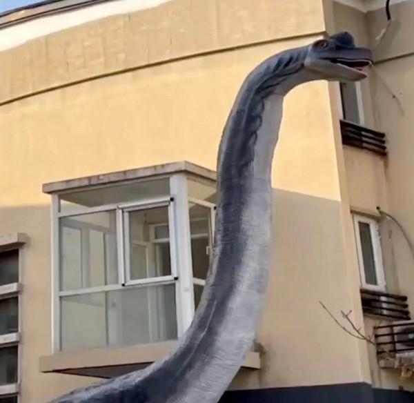 Hàng xóm dựng tượng khủng long cao 15 mét ngoài vườn, một người sợ đến không ngủ nổi-3